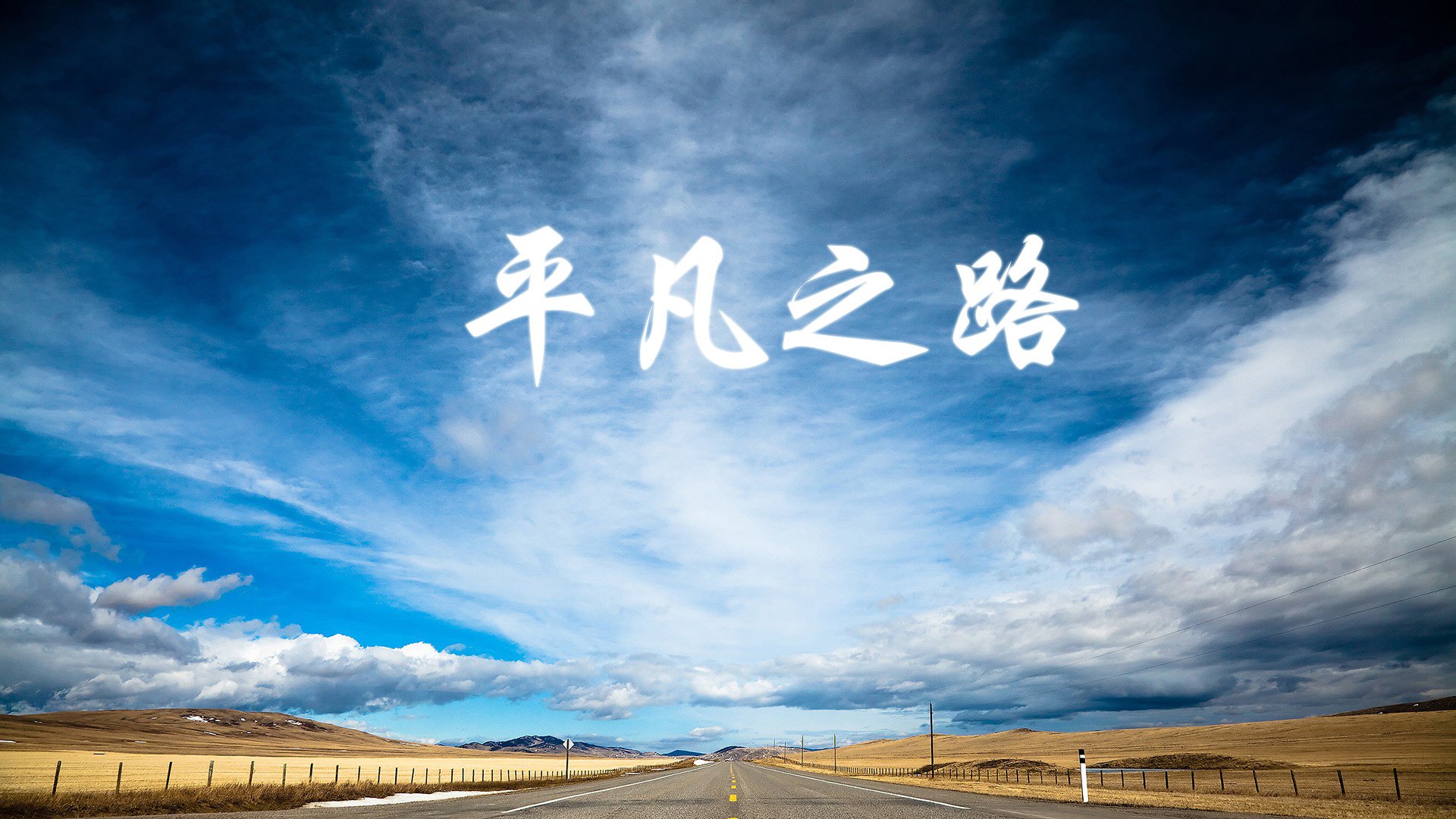 “夜色狂飙：夜间赛段的惊悚体验”，夜色啤酒怎么样