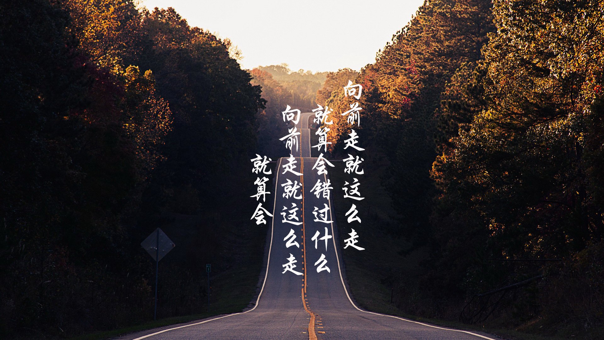 欧冠“闪耀之夜”：那些令人屏息的明星表现