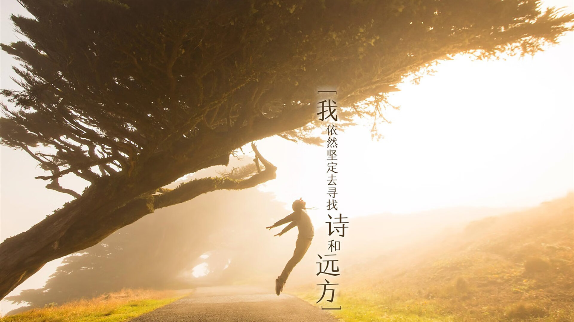阿塞拜疆执行守望先锋 欧预赛首轮全力以赴，守望先锋联赛锦标赛