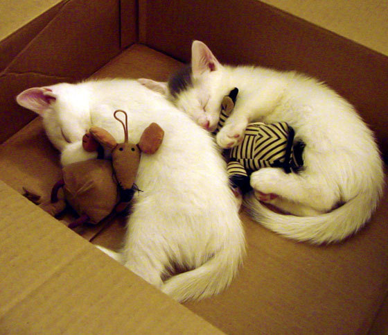 塞维利亚围绕中锋展开多次进攻配合,塞维利亚是强队吗