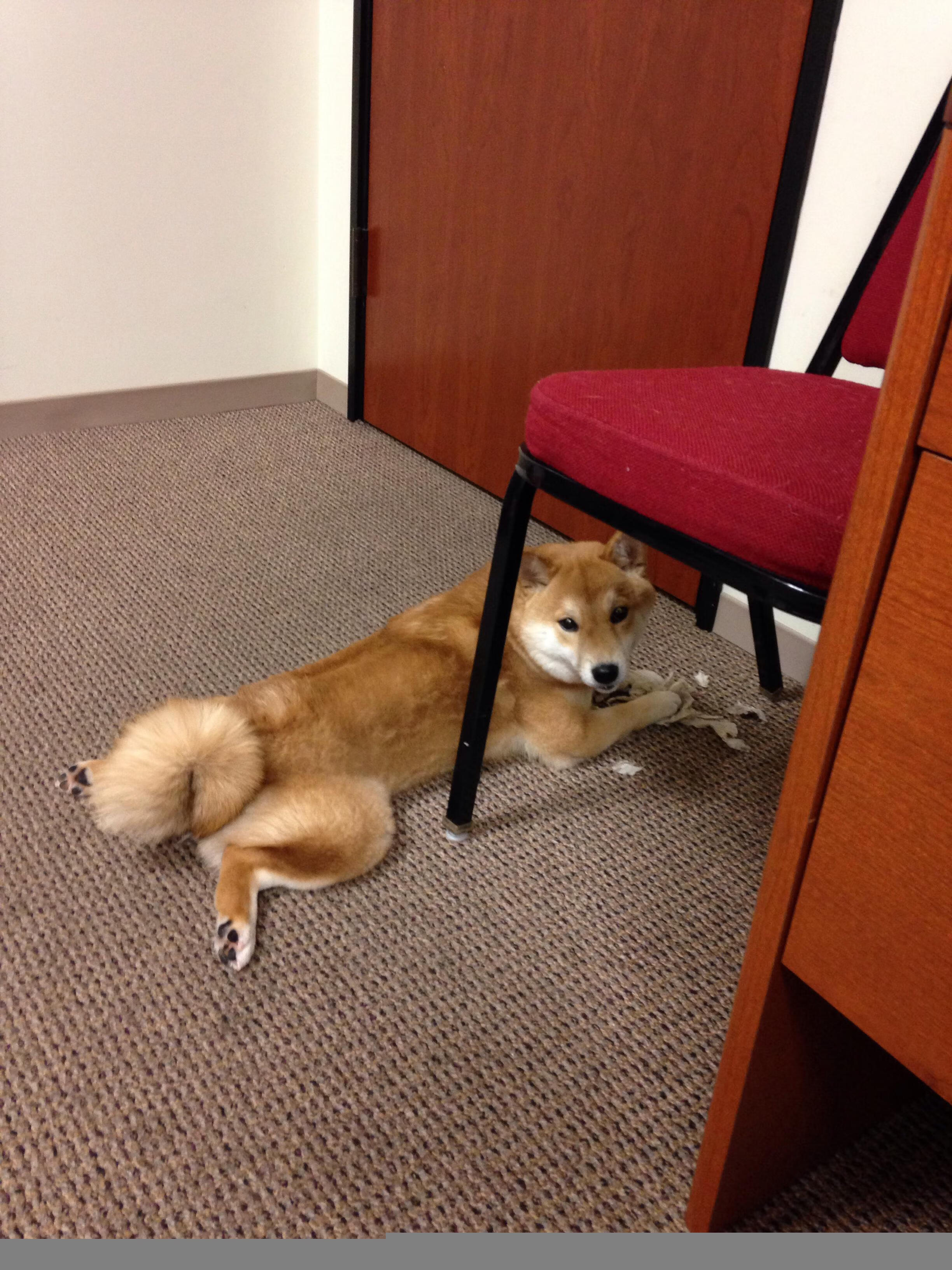 中国足球联赛联赛运营管理机制创新,足球联赛实施方案