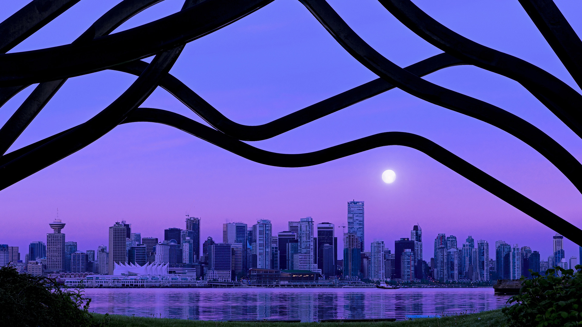 唐纳德·高尔的出色表现帮助袋鼠队屡屡领先对手，唐纳德古尔德