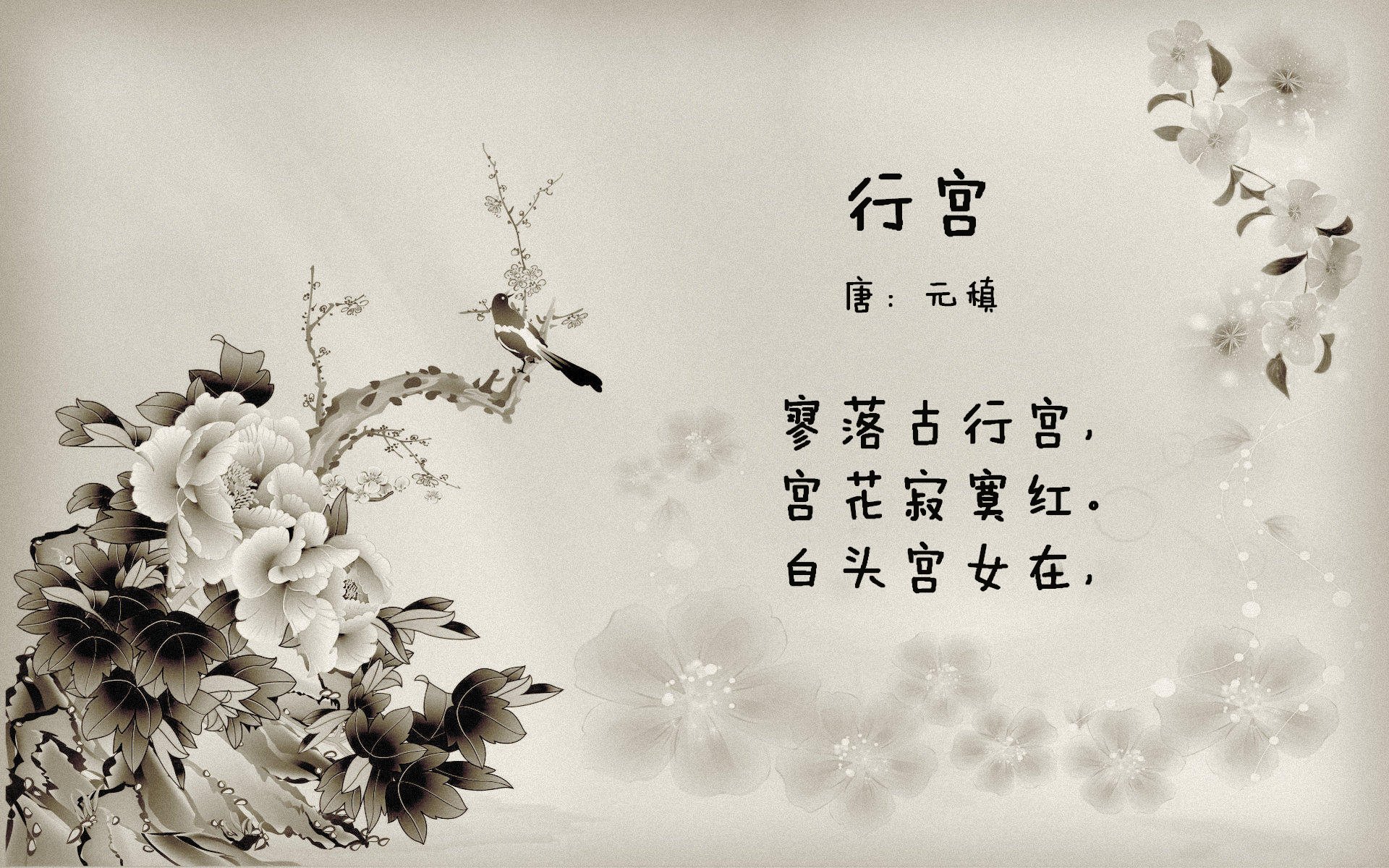 孟加拉男篮在亚洲预赛中奋勇争先，迈向新高峰