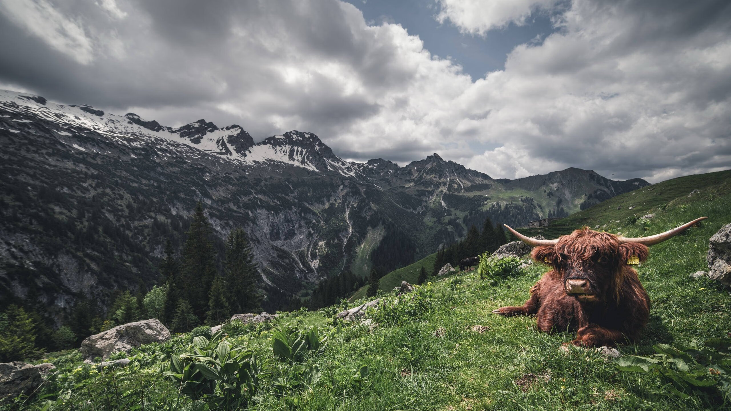 新战术体系磨合阶段失误频出需要更多实战调整
