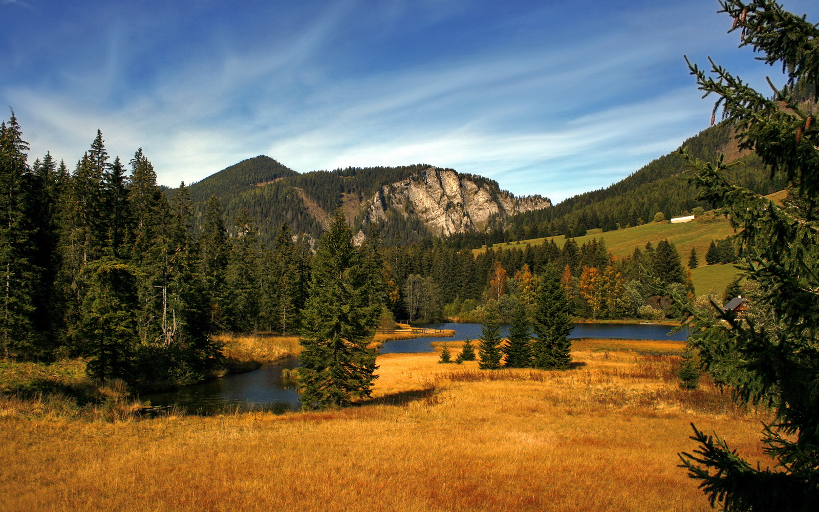 法甲未来之星：新星崭露头角，竞技值爆表！，门将未来之星