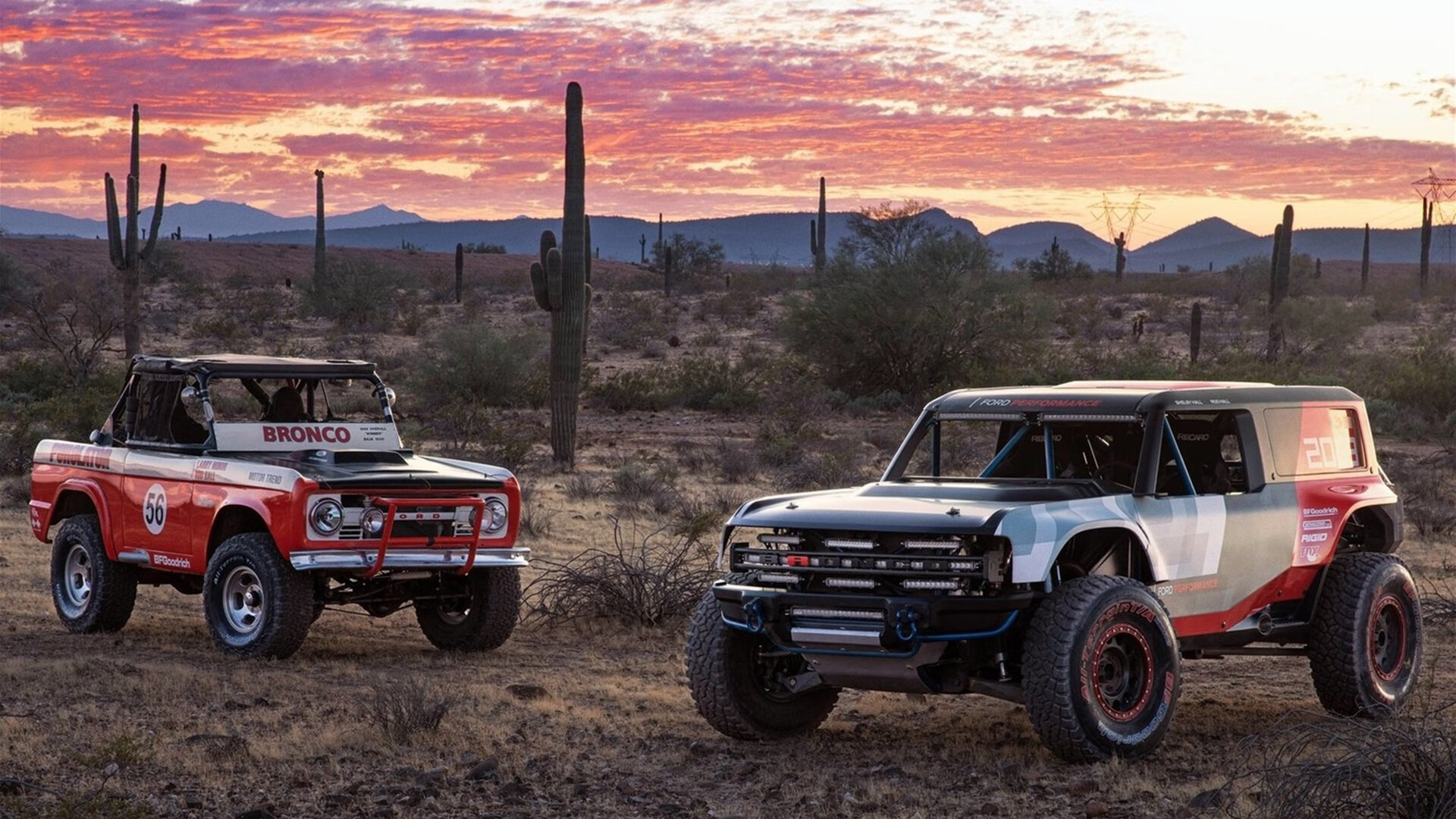 澳洲队以实力回应所有质疑，澳洲联赛什么时候恢复