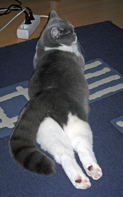 美洲杯激烈追逐：斗志燃烧，血性十足，美洲杯冠军来群里看看