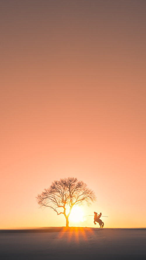 蛙泳项目摩纳哥持续发力，摩西蛙泳视频